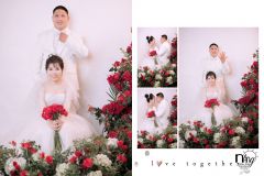 My-New-Project_26_result